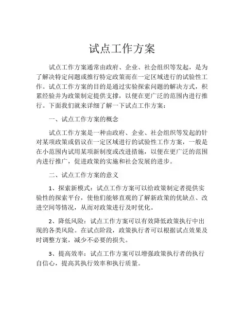 试点工作方案