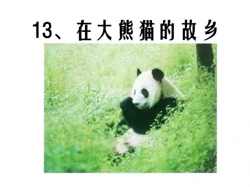 五年级语文在大熊猫的故乡