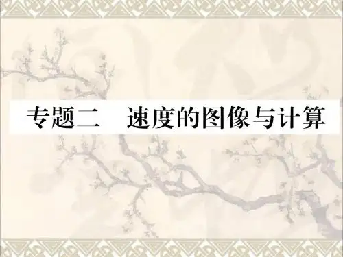 八年级物理全册专题二速度的图像与计算作业课件新版沪科版