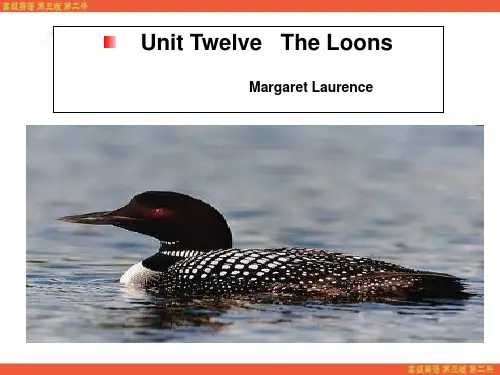 高级英语第三版第二册第九课 The Loons