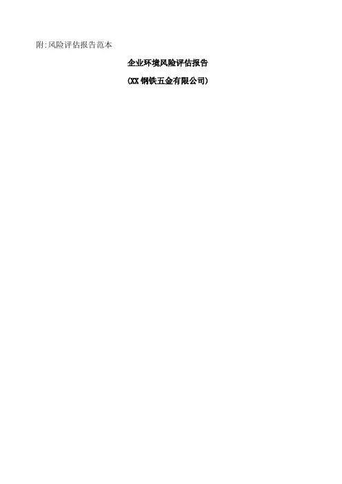 风险评估报告范本