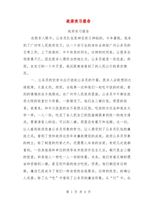 政府实习报告【可编辑版】