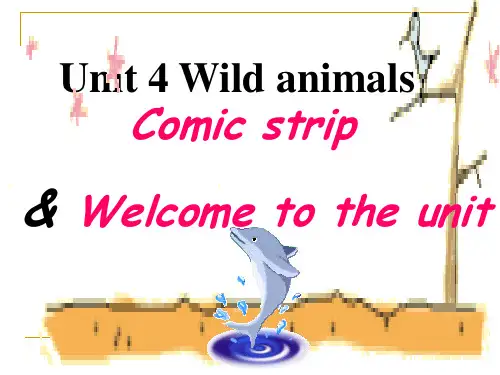 Unit4 wild animals