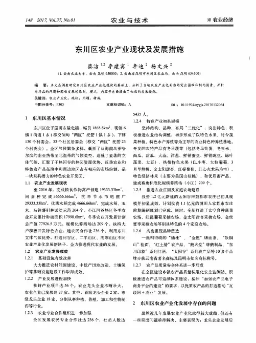 东川区农业产业现状及发展措施 2
