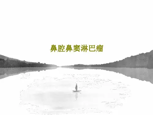 鼻腔鼻窦淋巴瘤29页PPT
