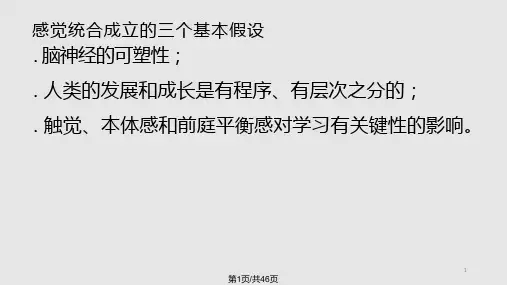 感觉统合理论与实践课件