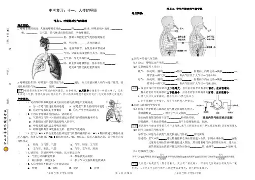 生物中考专题复习-  人体的呼吸