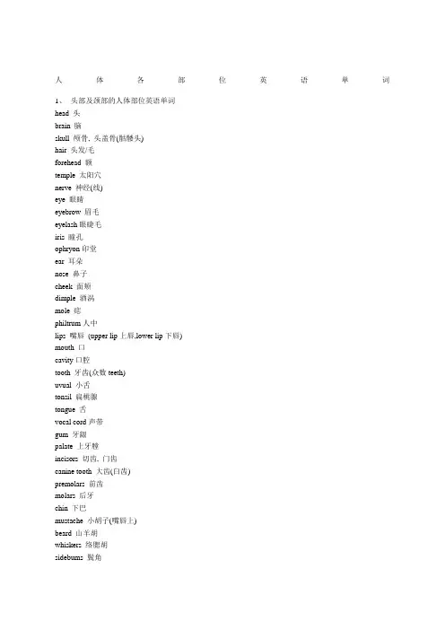 人体各部位英语单词 2