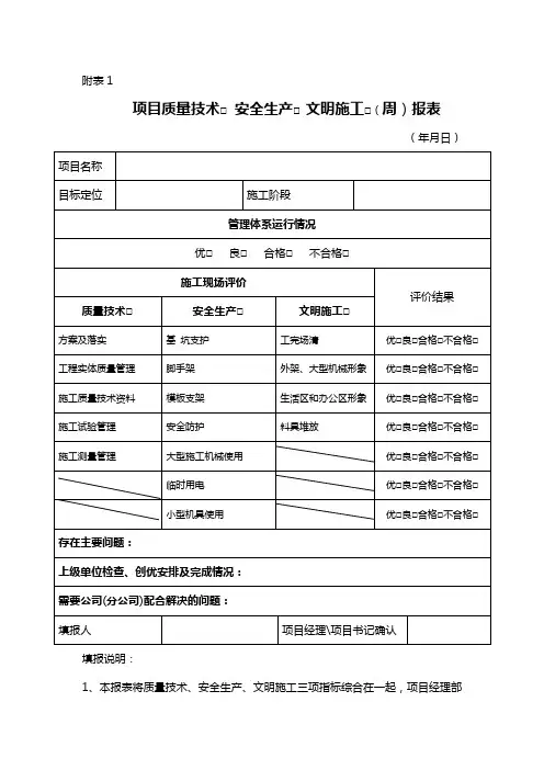 项目质量技术周报表