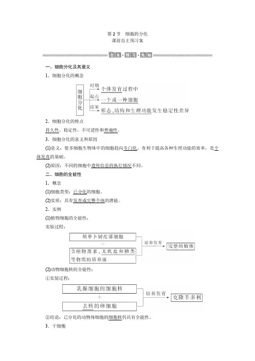 (2019新教材)高中生物人教版必修1学案：6.2 细胞的分化 