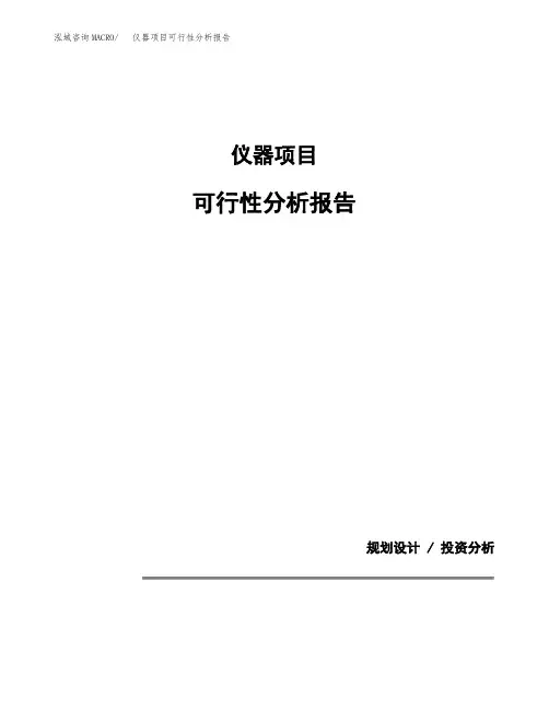 仪器项目可行性分析报告(模板参考范文)