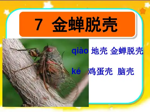 公开课金蝉脱壳
