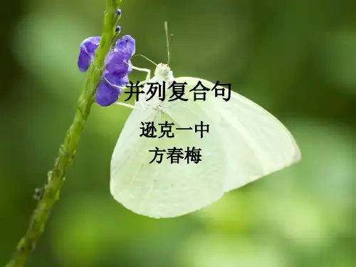 并列复合句