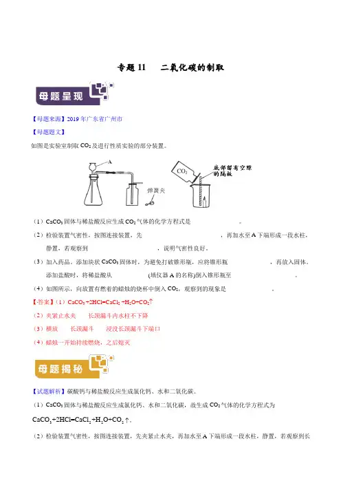 22.中考化学专题11 二氧化碳的制取 (原卷版)