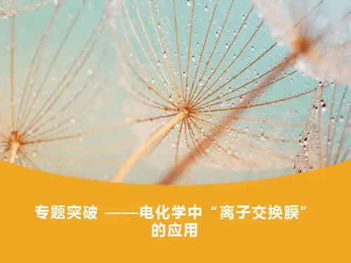 电化学中“离子交换膜”的应用——专题突破