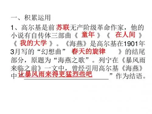 9、《海燕》(练习)