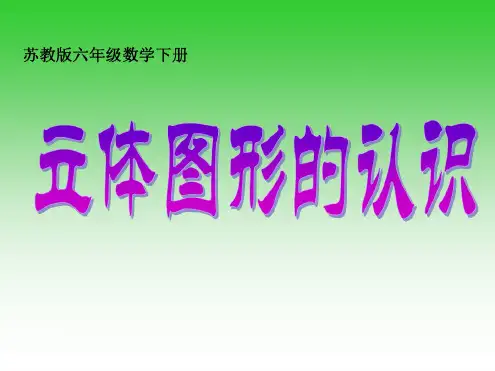 7.立体图形的认识
