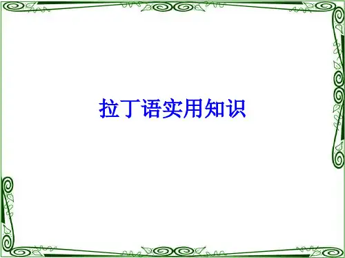 拉丁语实用知识配标准真人原音