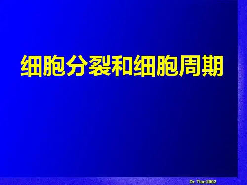 细胞分裂和细胞周期