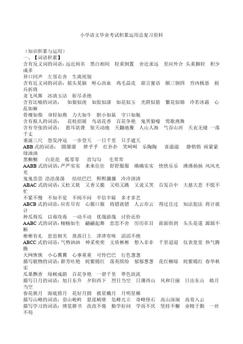 小学语文毕业考试积累运用总复习