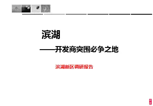 滨湖区调研报告