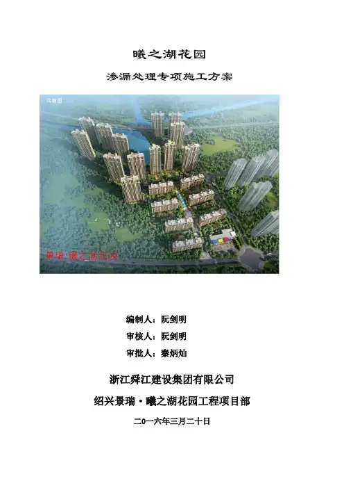 渗漏处理专项施工方案