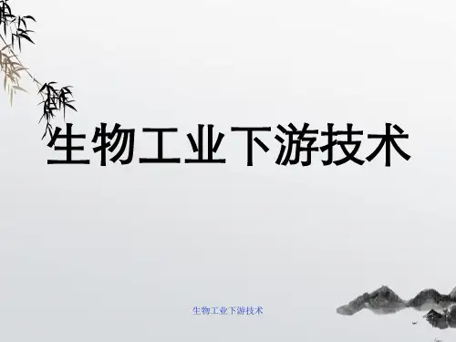 生物工业下游技术