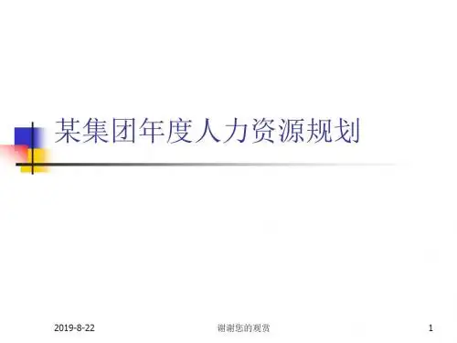 IT人力资源规划实例.ppt