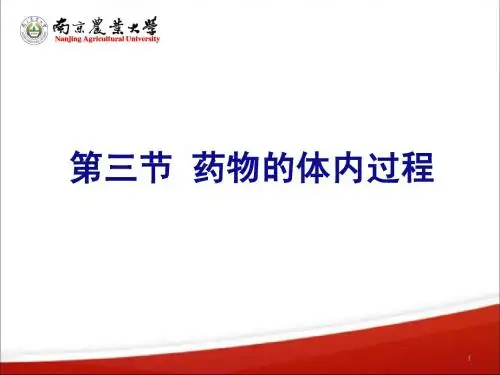 课件