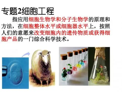 【生物课件】2015年人教版高中生物必修三全套精品课件(2)