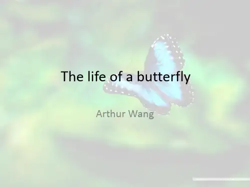 The life of a butterfly蝴蝶的生长过程