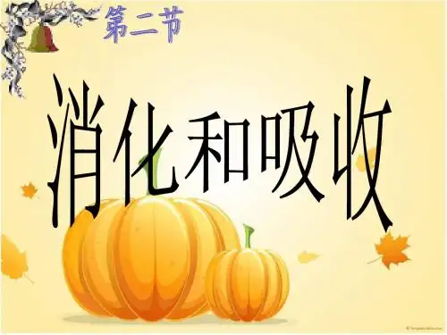 消化与吸收第二章第二节