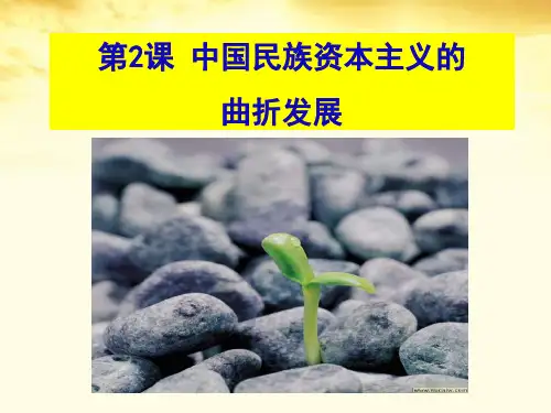 《中国民族资本主义的曲折发展》课件1_新人教版必修2