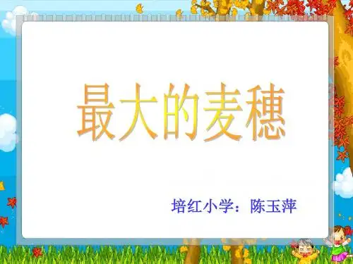 六年级语文最大的麦穗2(教学课件201908)