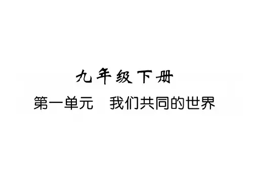 部编版九年级下册道德与法治复习课件全套