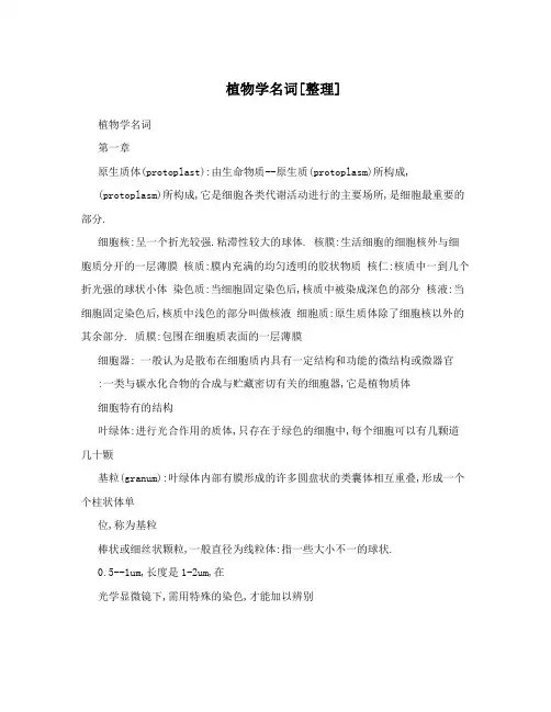 植物学名词[整理]