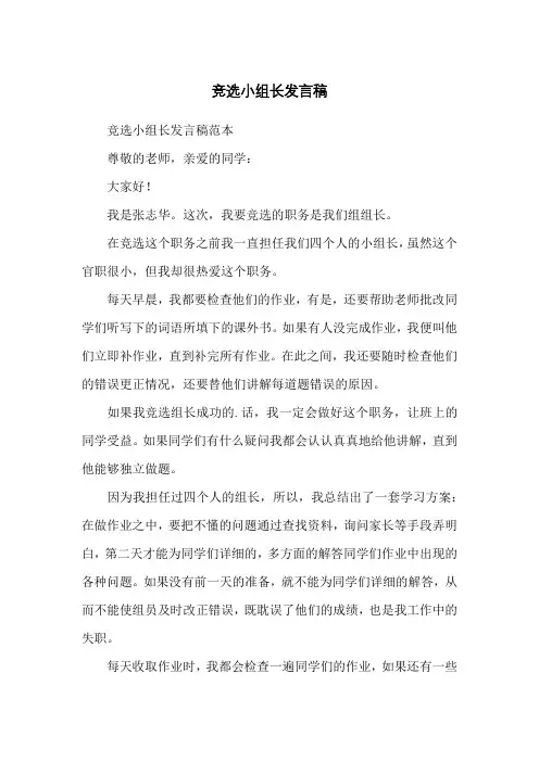 竞选小组长发言稿