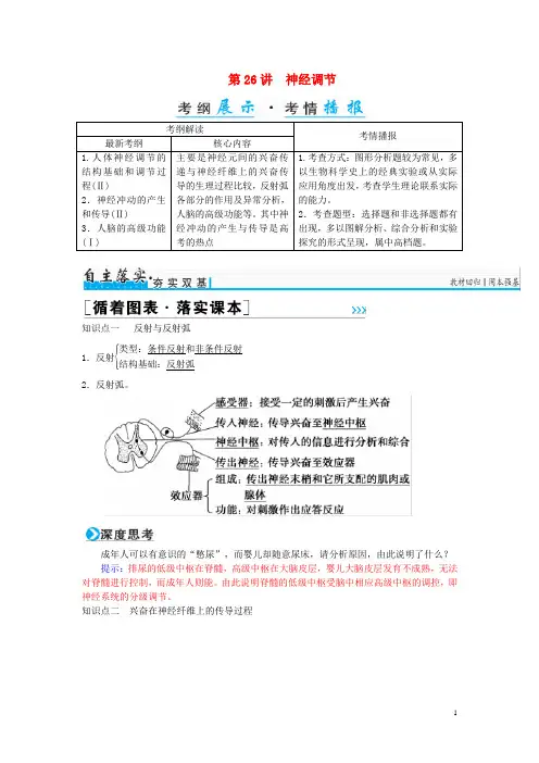 高考生物一轮复习第八单元生命活动的调节第26讲神经调节习题