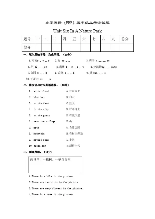 PEP小学英语五年级上册第6单元测试题及答案