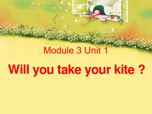 《Will you take your kite》PPT教材课件