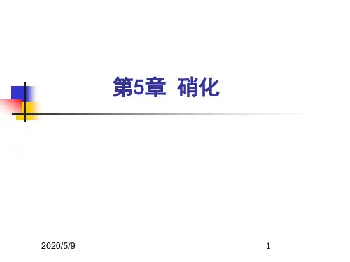 第5章 硝化反应