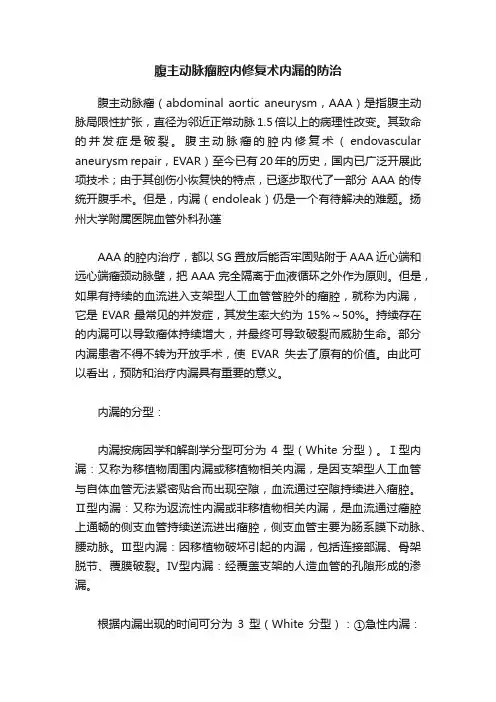 腹主动脉瘤腔内修复术内漏的防治