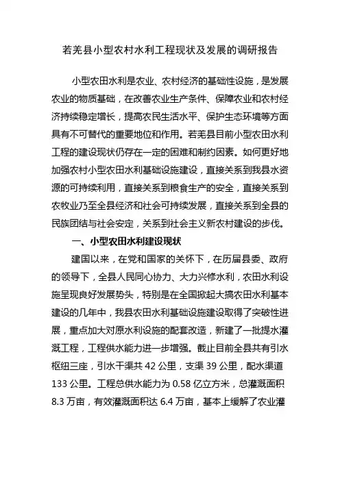 若羌县农村水利工程现状及发展的调研报告