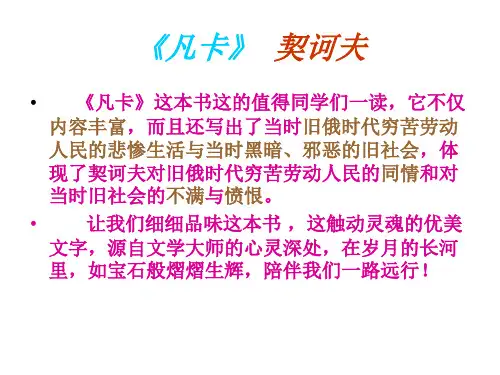 凡卡 好书推荐