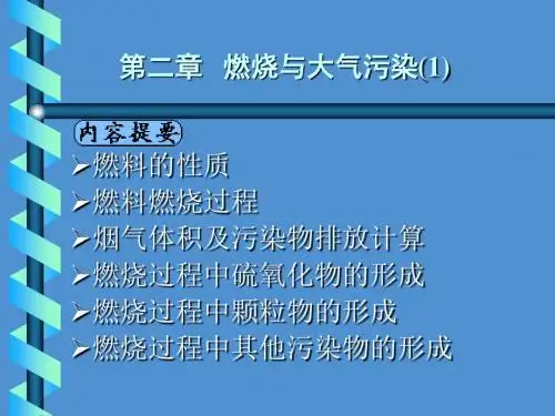 第二章 燃烧与大气污染01