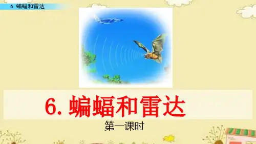 部编版四年级上册语文《蝙蝠和雷达课件》