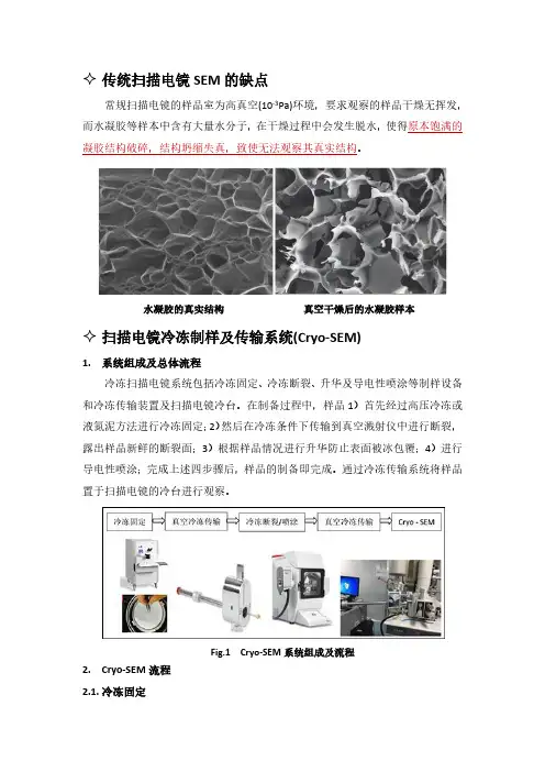扫描电镜冷冻制样及传输系统(Cryo-SEM)检测凝胶样本