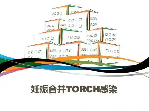 妊娠合并TORCH感染  ppt课件