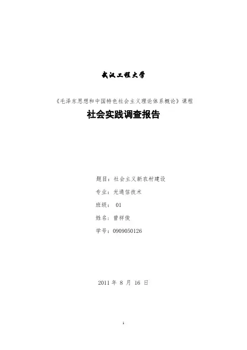 暑期社会实践报告(马克思学院安排)