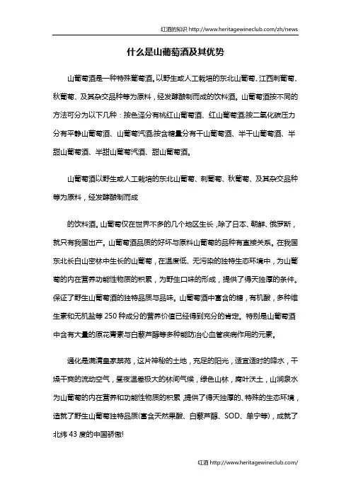 什么是山葡萄酒及其优势